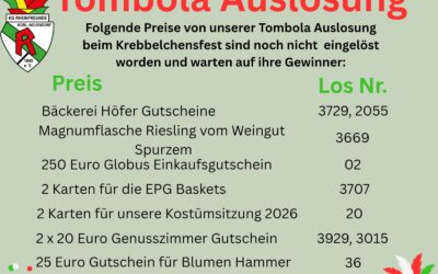 Tombola-Auslosung 2025 ✨🎉