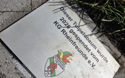 Ein neuer Baum für Neuendorf